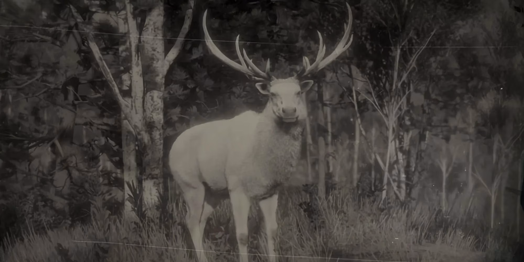 how-hunting-these-10-legendary-animals-transformed-my-2026-red-dead-redemption-2-playthrough-image-6