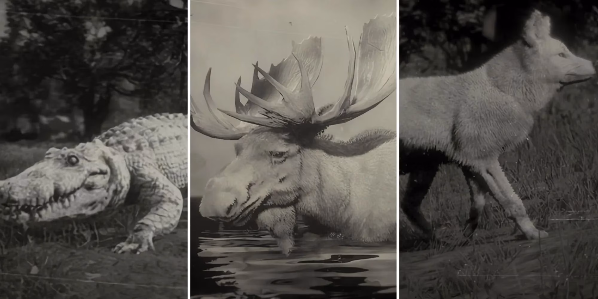 how-hunting-these-10-legendary-animals-transformed-my-2026-red-dead-redemption-2-playthrough-image-0