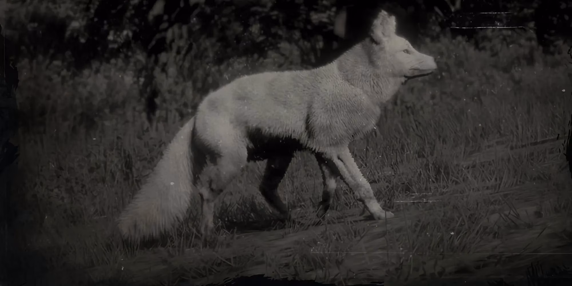how-hunting-these-10-legendary-animals-transformed-my-2026-red-dead-redemption-2-playthrough-image-1