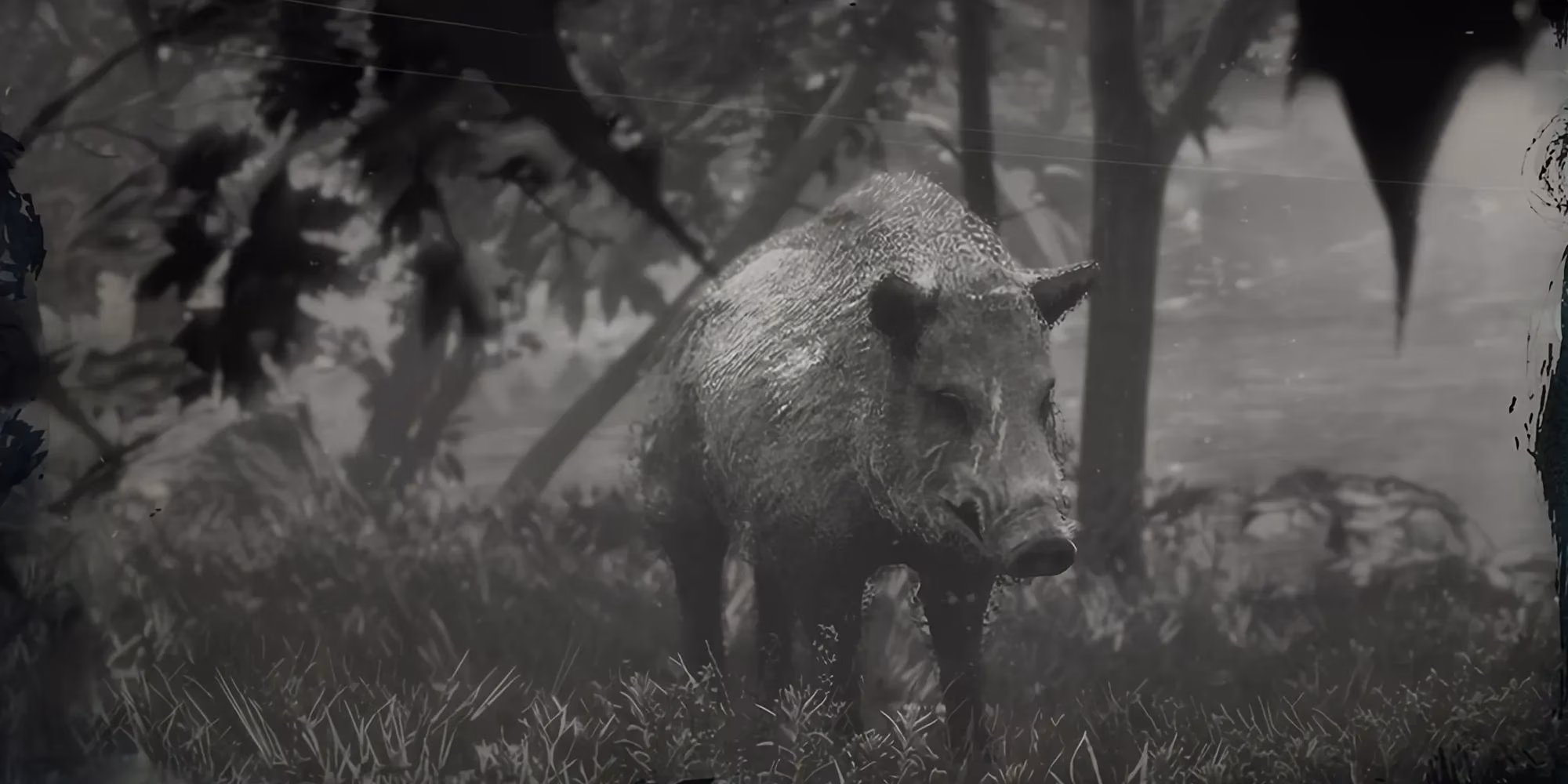 how-hunting-these-10-legendary-animals-transformed-my-2026-red-dead-redemption-2-playthrough-image-8